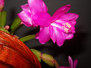 DSCN0183