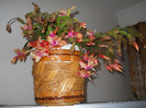 DSCN0192