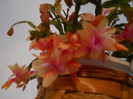 DSCN0195