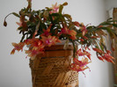 DSCN0198