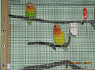 DSCN0023