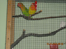 DSCN0026