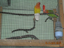 DSCN0027