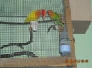 DSCN0028