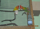 DSCN0029