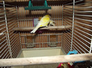 DSCF4109