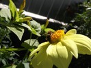 DSCF5512