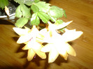P1010504