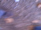 IMG_0596