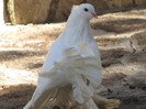IMG_1930