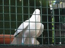 IMG_1950
