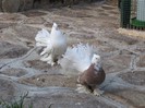 IMG_1967