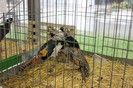 IMG_5001