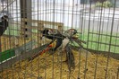 IMG_5002