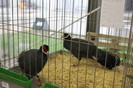IMG_5004