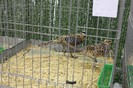 IMG_5006