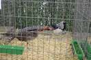 IMG_5008