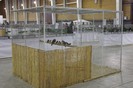 IMG_5009
