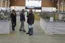 IMG_5010