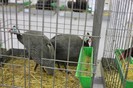 IMG_5019