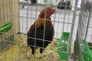 IMG_5020