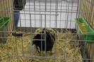 IMG_5021