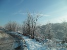 SAM_0026