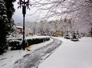 DSC00430-001