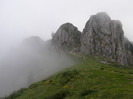 P8052484