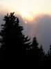P8052493