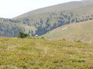 P8082565