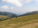 P8082602