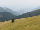 P8082603