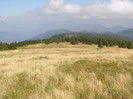 P8082613