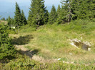 P8082619