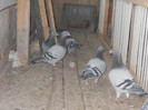 DSCN4751