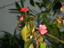 DSCN3280