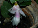 DSCN3281