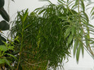 DSCN3283