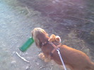 Imag012