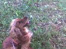 Imag020