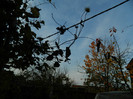 DSCN2469