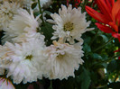 DSCN2475
