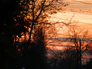 DSCN2484