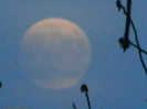 DSCN2492