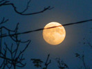 DSCN2509