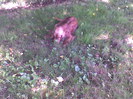 Imag049