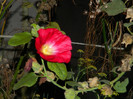DSCN2515