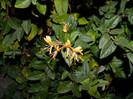 DSCN2526