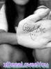 82660412_ZZJODMB